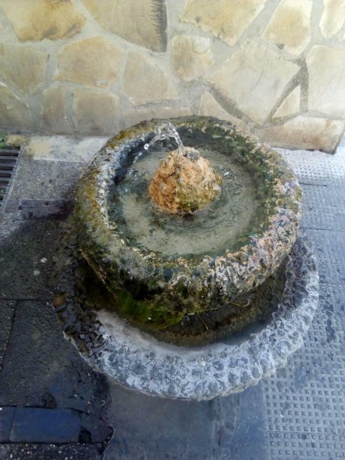 Casa Rural Majaceite Pensionat El Bosque Eksteriør billede